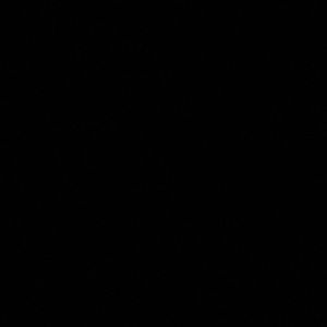 Meet your Posher, Maggie